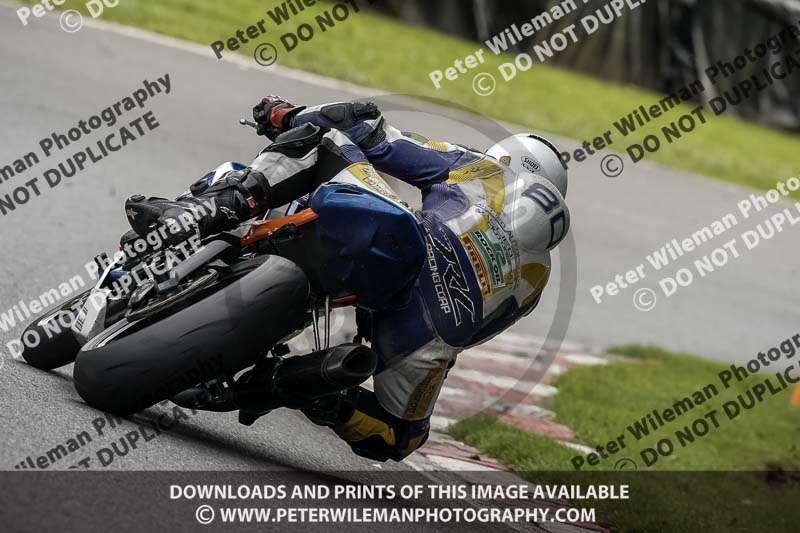 cadwell no limits trackday;cadwell park;cadwell park photographs;cadwell trackday photographs;enduro digital images;event digital images;eventdigitalimages;no limits trackdays;peter wileman photography;racing digital images;snetterton;snetterton no limits trackday;snetterton photographs;snetterton trackday photographs;trackday digital images;trackday photos